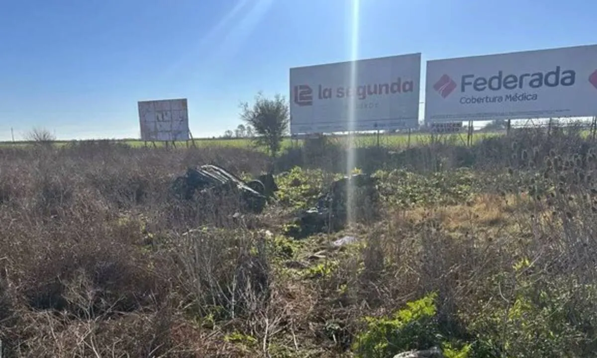 Seis jóvenes volvían de una fiesta, perdieron el control del auto y volcaron: hay dos muertos y cuatro heridos
