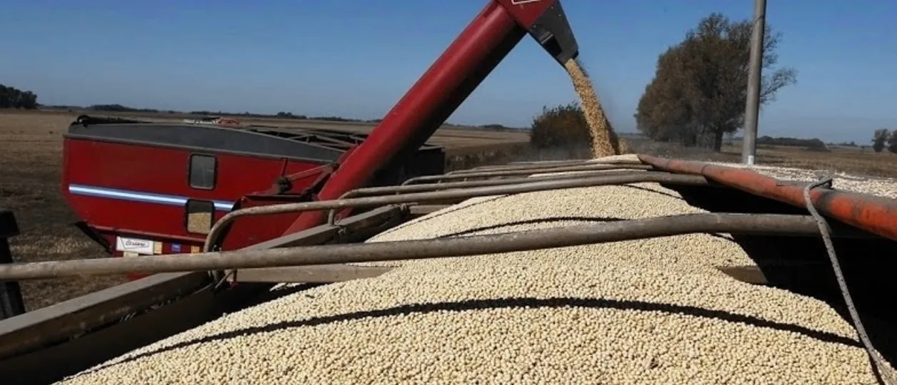 La soja subió 8 dólares y superó los 440 dólares en el mercado internacional