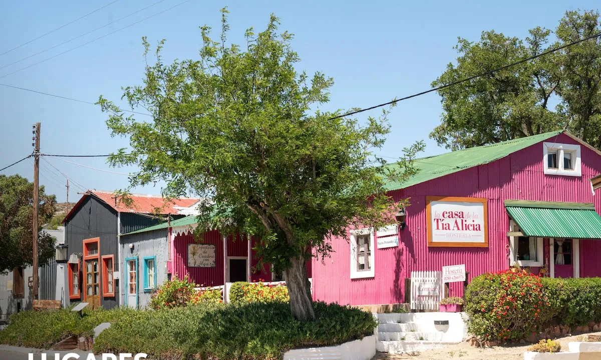 Patagonia: el pueblito frente al mar que surgió por los salitrales y convoca para ver ballenas