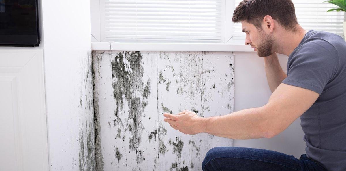 Cómo es el truco de los arquitectos para encontrar humedad en las paredes y entender su gravedad