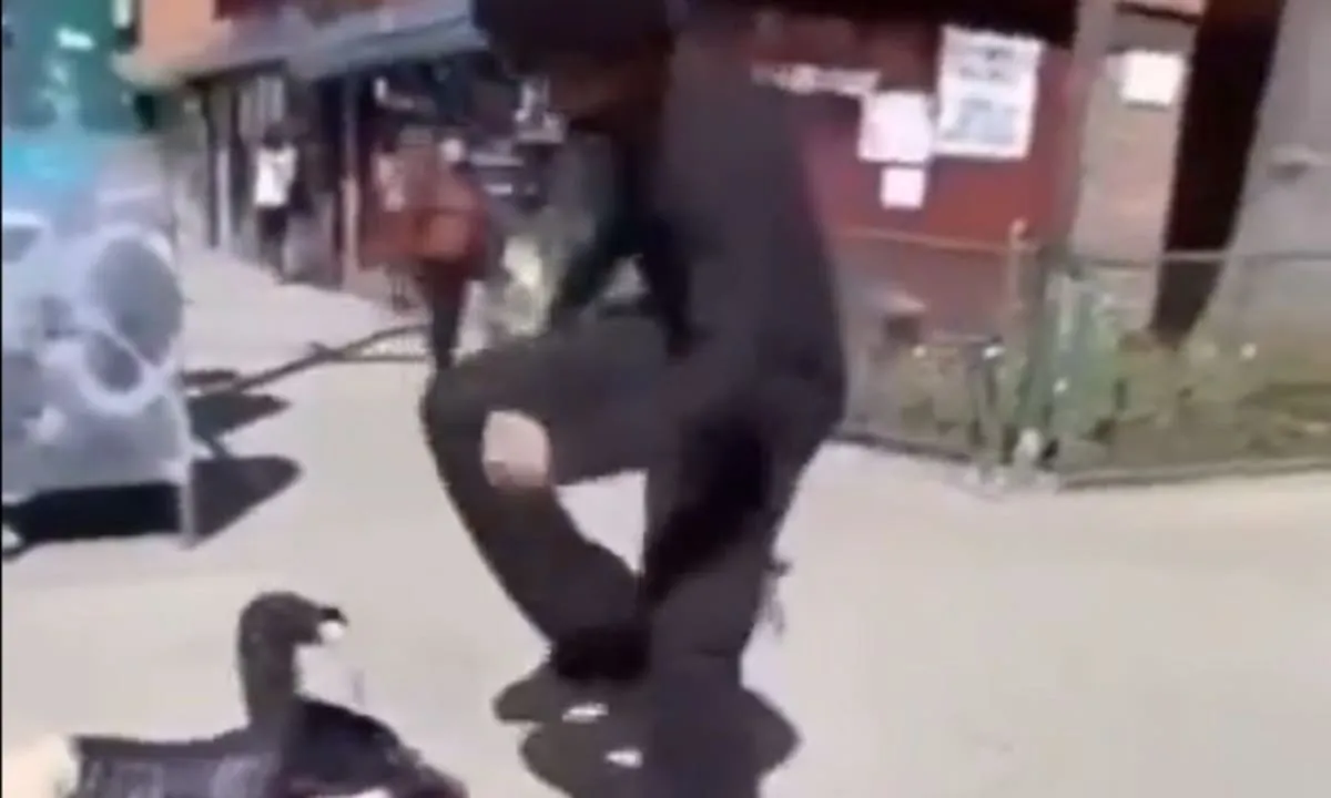 Un adolescente golpeó y le pisó la cabeza a una chica en una calle de Nueva York