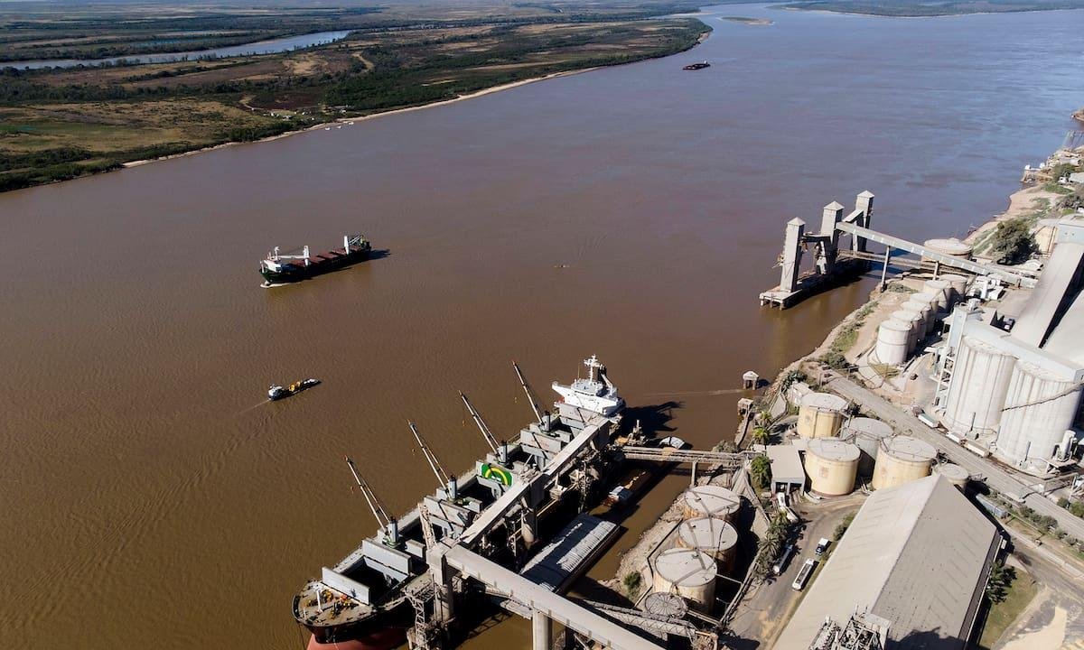 Desplome: en febrero cayó un 30% la liquidación de divisas de la agroexportación