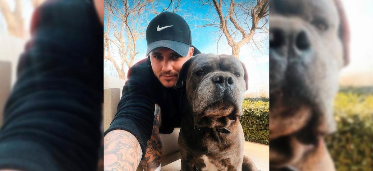 Mauro Icardi y su “perro guardaespaldas”: cuánto pesa y por qué se volvió viral en las redes