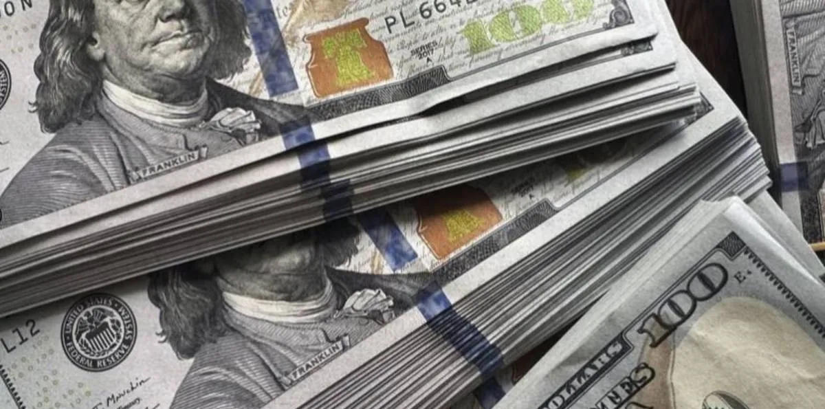 Dólares: qué sectores compraron las divisas alimentadas por los sojeros y el preocupante dato de la deuda privada
