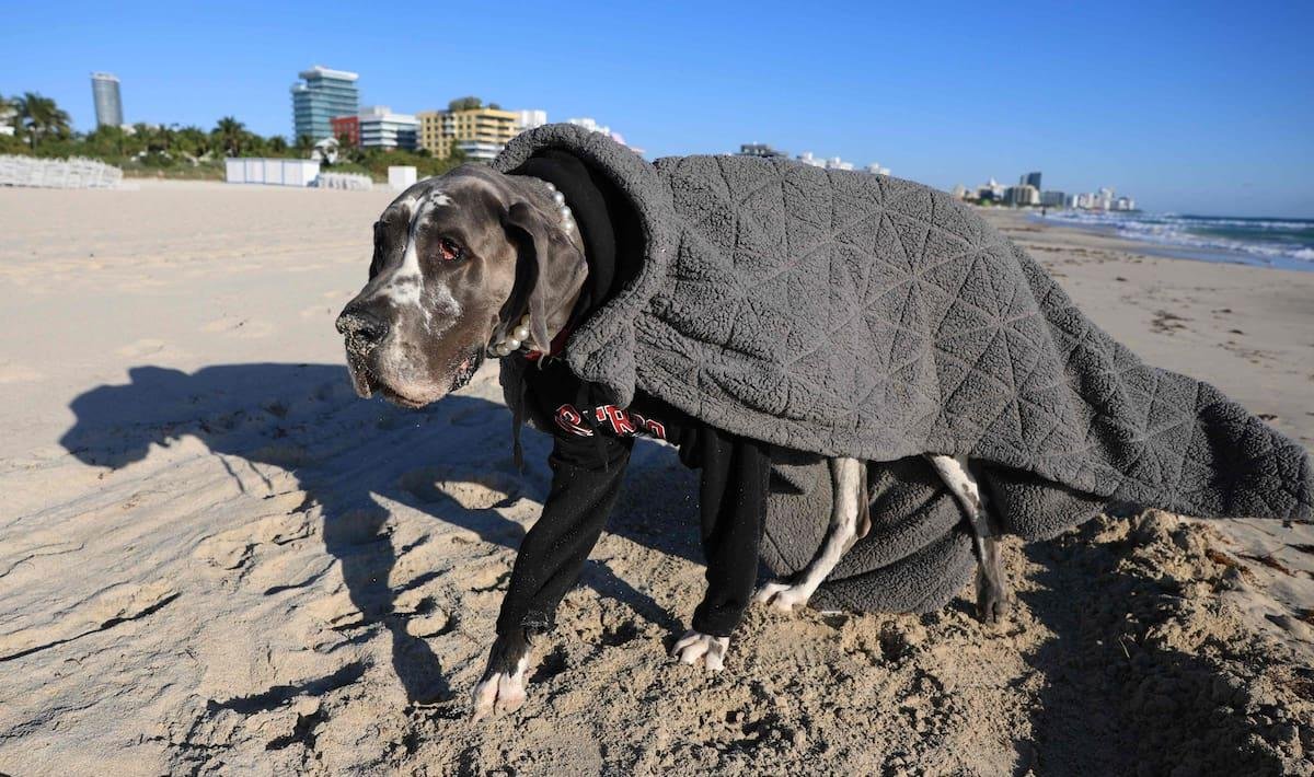 Clima en Miami, Florida hoy: cuál es el pronóstico del tiempo para hoy 28 de febrero