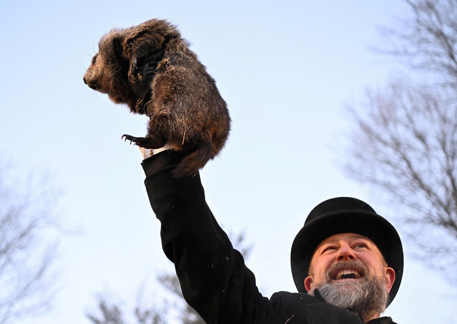 El veredicto de Phil: la marmota más famosa de Estados Unidos definió si el invierno se extiende o llega antes la primavera