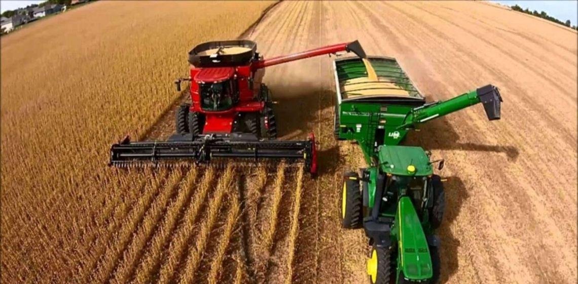 Fuerte caía de las liquidaciones del campo en febrero 2026