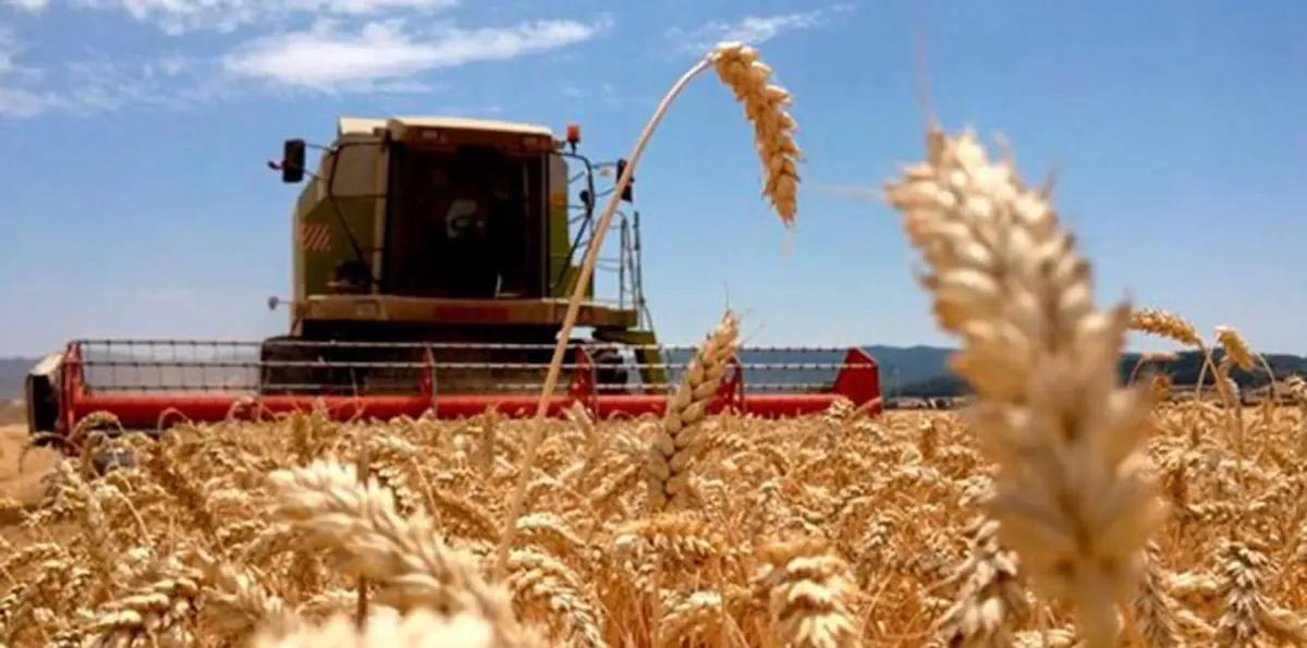 Ingresaron US$7463 millones: en el primer bimestre del año las exportaciones agroindustriales subieron un 7%