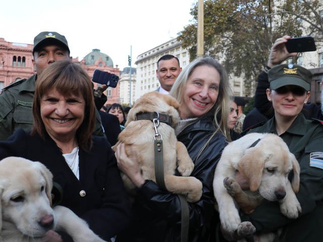 El Gobierno prepara una reforma profunda en Seguridad: el ministerio gana poder y tendrГЎ una PolicГ­a Migratoria