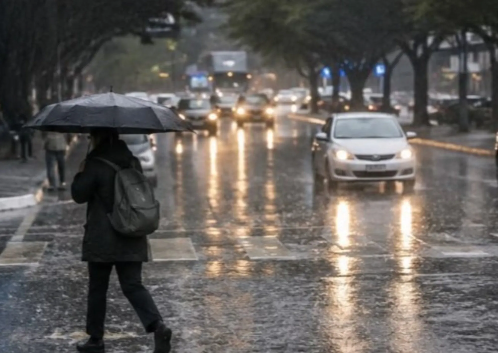 Alerta climática de la ONU: El Niño se intensificará en las próximas semanas y anticiparon cuando será su máximo pico