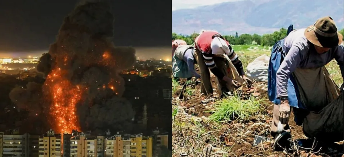 Guerra en Medio Oriente impacta en Perú: precio de fertilizantes sube un 28% y amenaza costos de producción agrícola