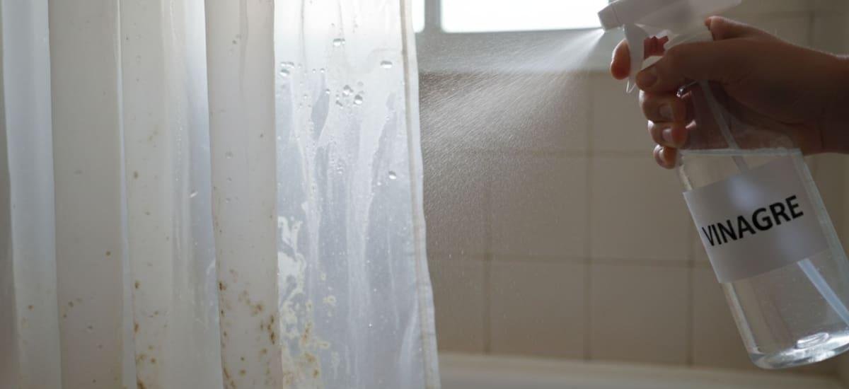 Tirar vinagre en la cortina del baño: por qué lo recomiendan y para qué sirve - El Cronista