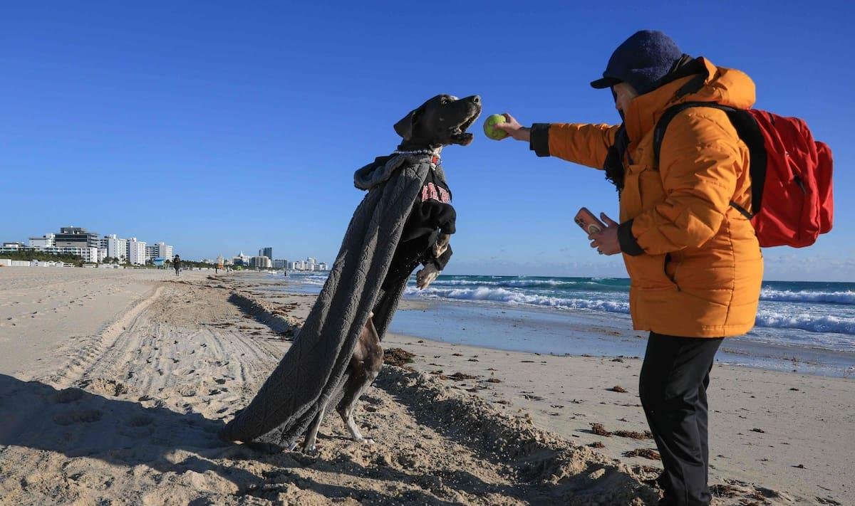 Clima en Miami, Florida hoy: cuál es el pronóstico del tiempo para la semana del 2 de marzo al 6 de marzo