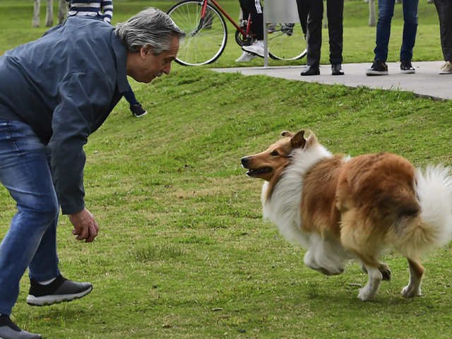 Cuando la polГ­tica a veces se vuelve вЂњuna vida de perrosвЂќ