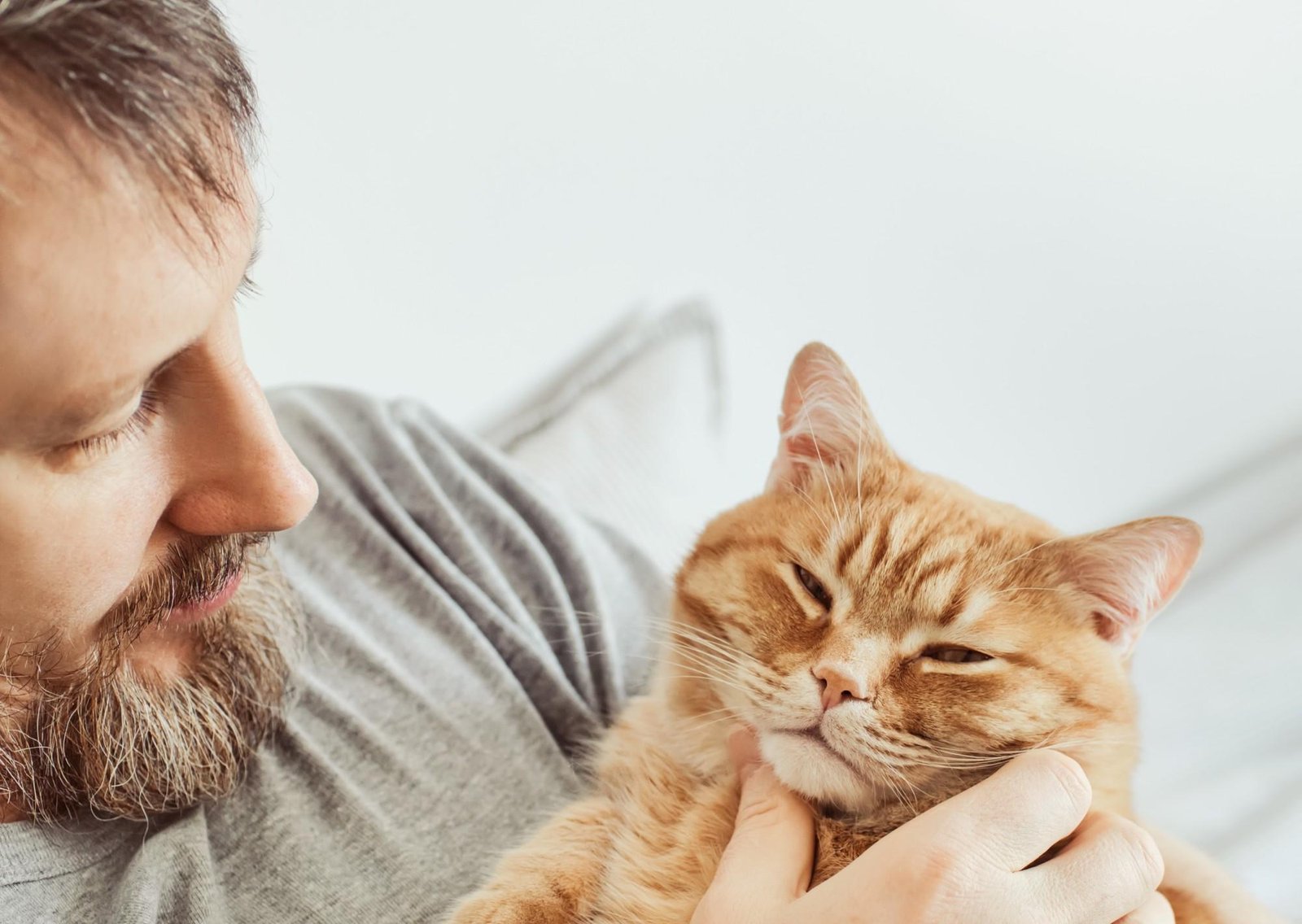 Los investigadores no daban crédito: los gatos maúllan más cuando saludan a hombres ¿por qué pasa esto?