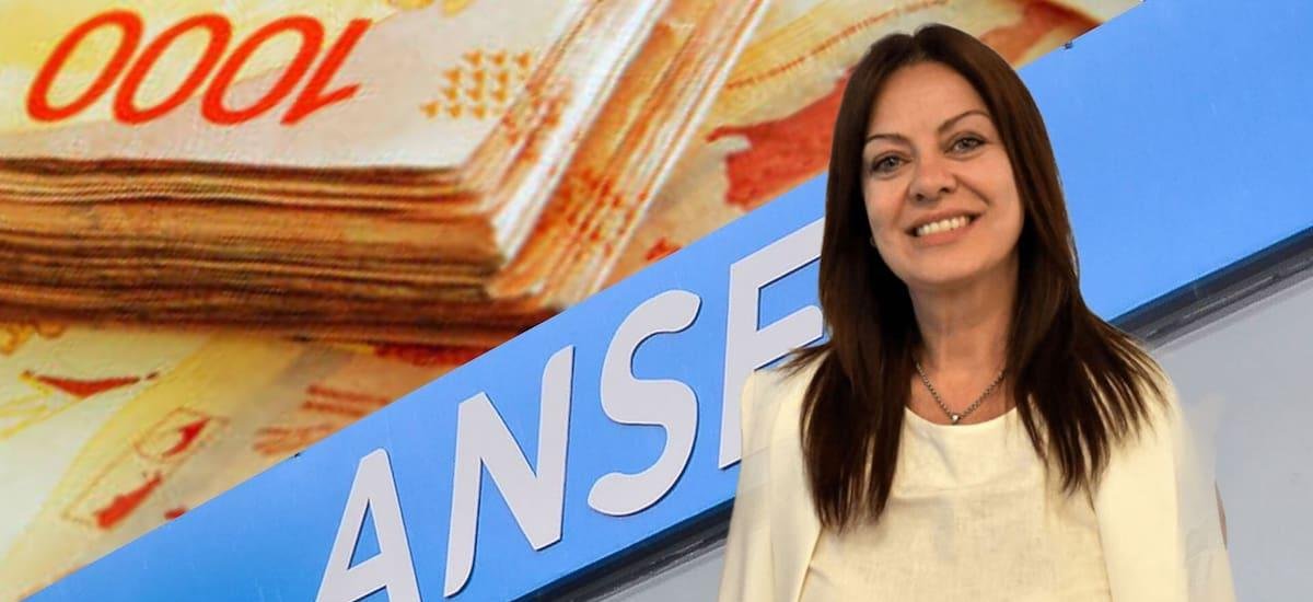 Una buena de ANSES: todos estos trabajadores cobrarán un bono de $ 345.000 - El Cronista