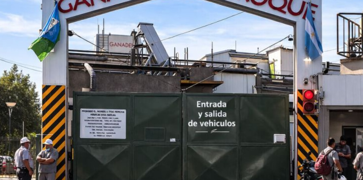 “Indiscriminada apertura comercial”: cerró un frigorífico, echó a más de 100 empleados y culpó a las importaciones
