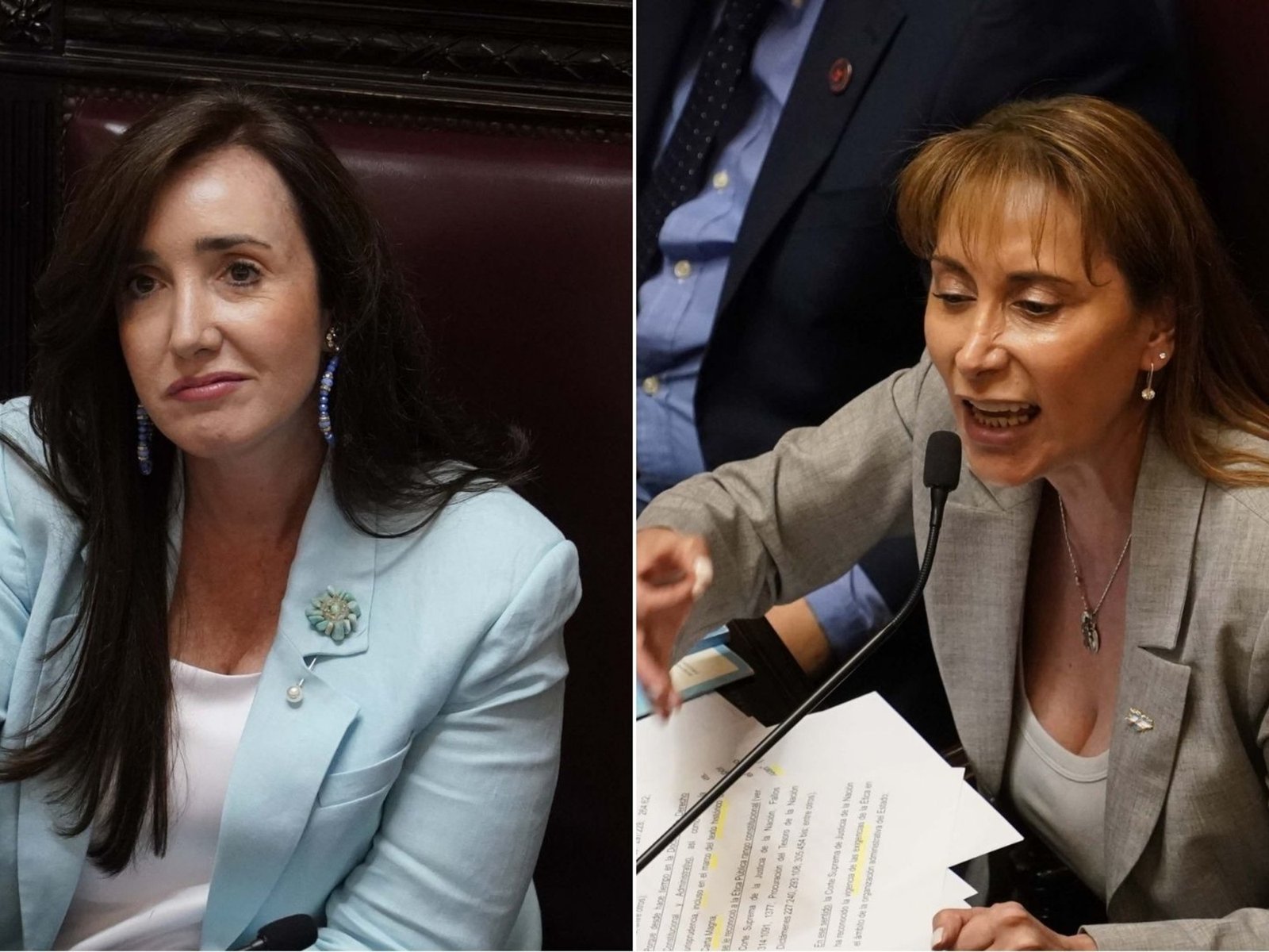 вЂњCallate, mamarrachoвЂќ: gritos, denuncias y un fuerte cruce entre la fueguina Cristina LГіpez y Victoria Villarruel por los despachos del Senado