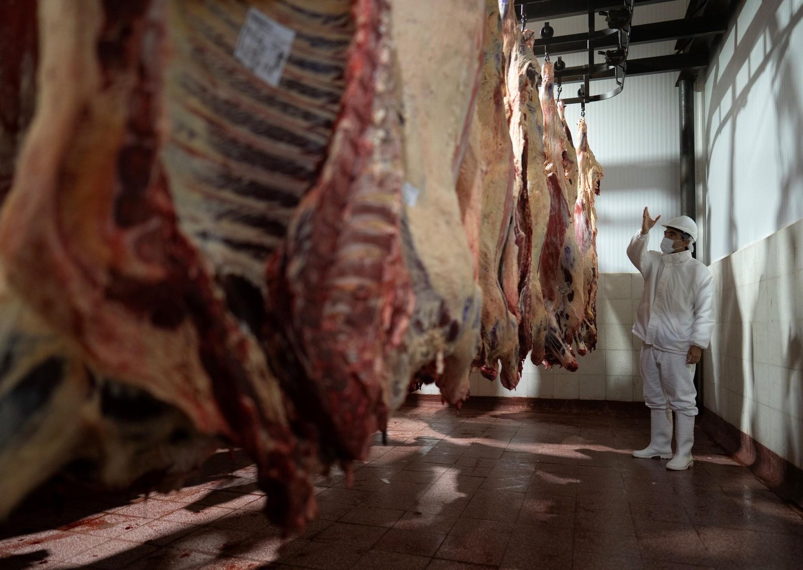 “Recontra ajustados”: en la cadena de la carne inquieta el poder adquisitivo y la informalidad