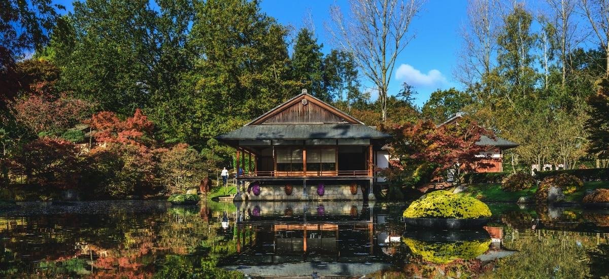 Los jardines a una hora de Bruselas que transportan directamente a Japón: cerezos tradicionales y una Casa Ceremonial