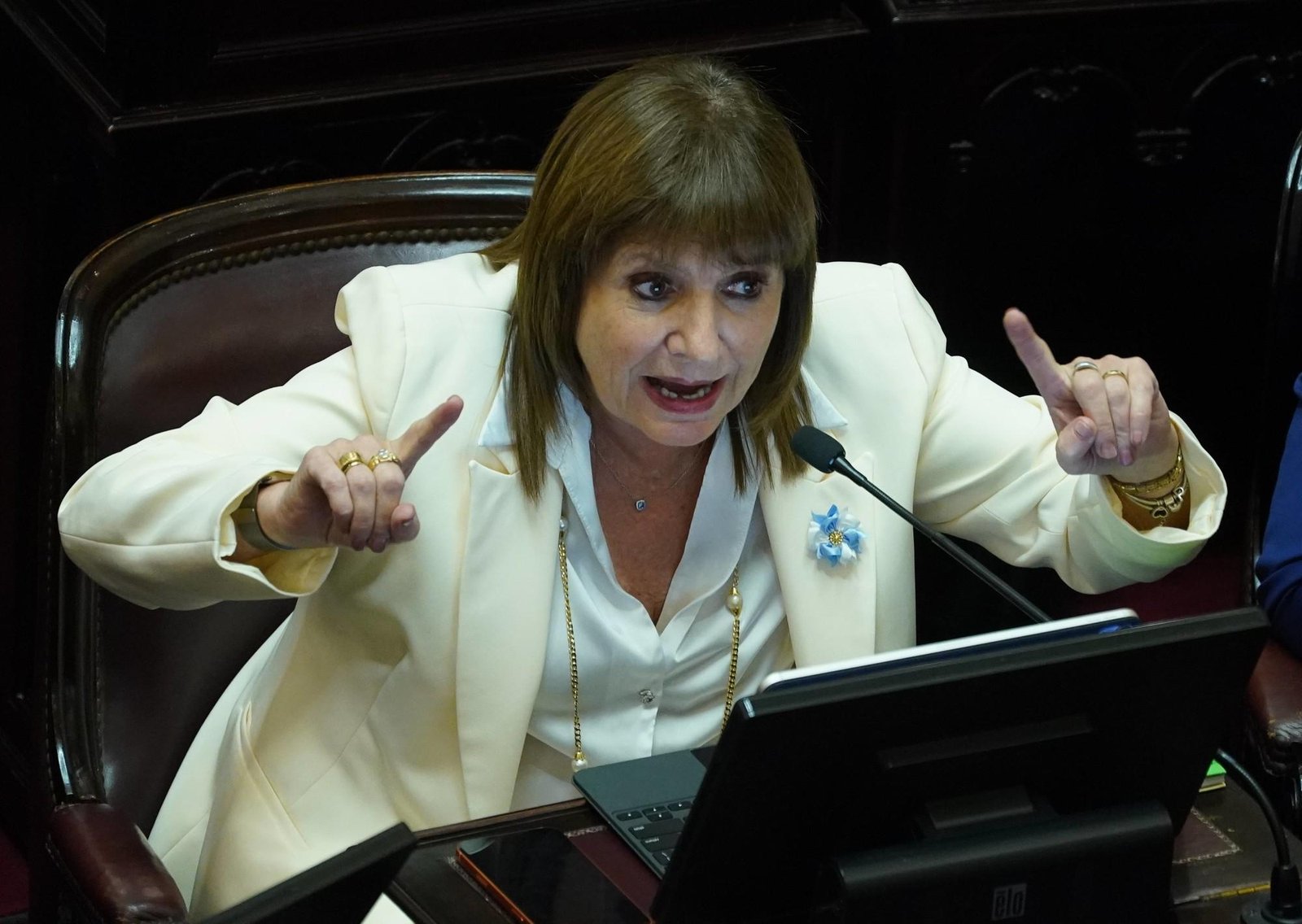 Bullrich reconoció que el Gobierno no estuvo involucrado en la liberación de Nahuel Gallo y sembró dudas sobre la AFA: "Podrían haber traido también a Giuliani"