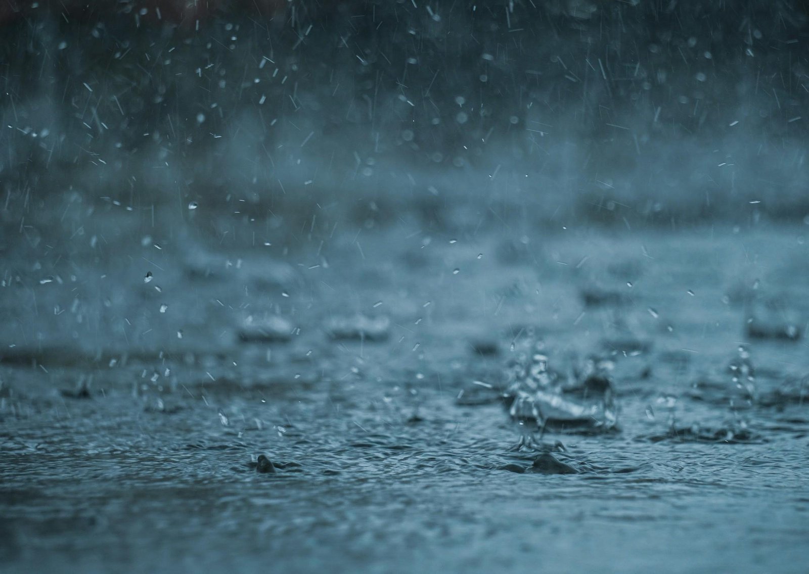 Clima hoy en José Ignacio, Uruguay: el pronóstico del tiempo para este viernes 30 enero de 2026