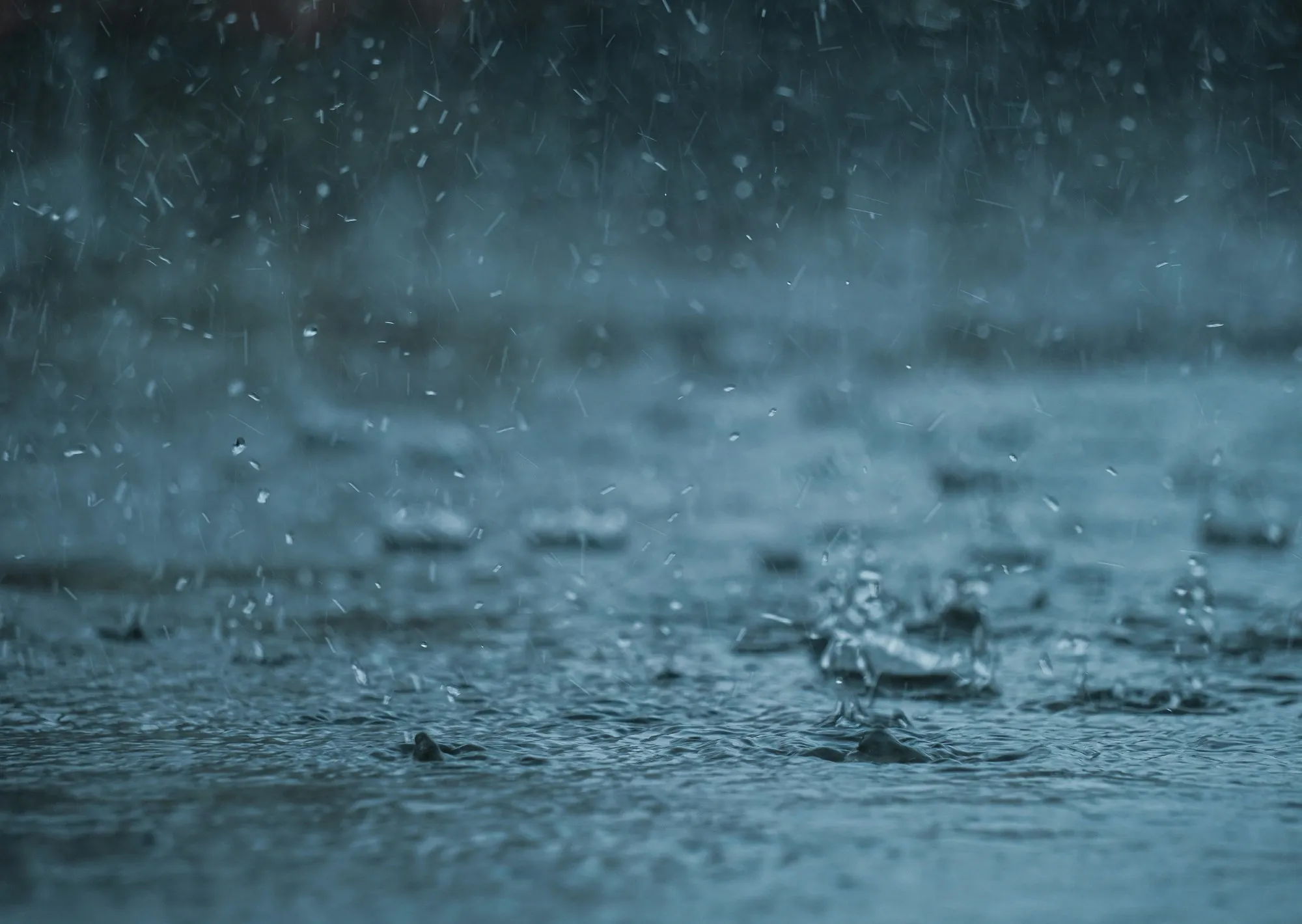 Clima hoy en Santo Domingo, Ecuador: el pronóstico del tiempo para este jueves 12 marzo de 2026