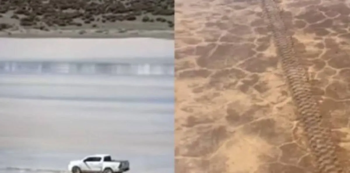 Pampa del Leoncito: destrozó un área protegida con su Hilux en San Juan y el daño podría tardar 100 años en recuperarse