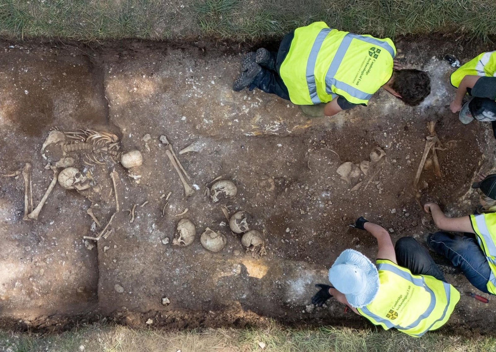 Arqueólogos de la Universidad de Cambridge hallaron una fosa común de la era vikinga