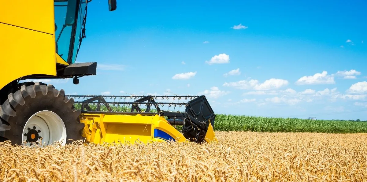 Campo: sin retenciones, Argentina podría producir 251 millones de toneladas de granos en 10 años