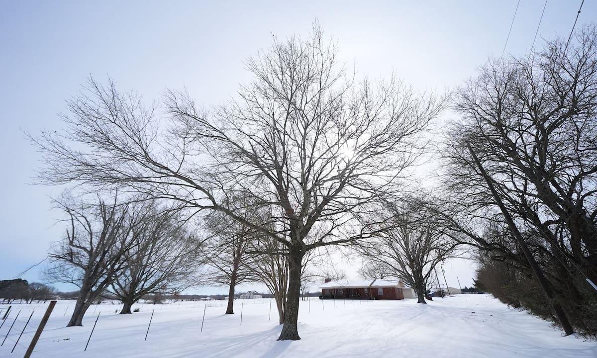 Clima en Dallas, Texas hoy: cuál es el pronóstico del tiempo para la semana del 2 de marzo al 6 de marzo