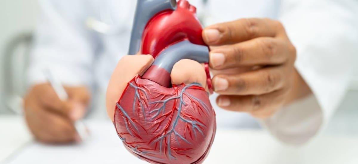 Ni caminar ni bicicleta fija: el ejercicio ideal para cuidar tu corazón y mejorar la circulación