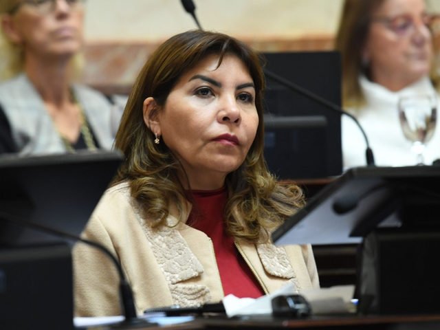 Sigue la sangrГ­a en el peronismo K del Senado y crecen los federales