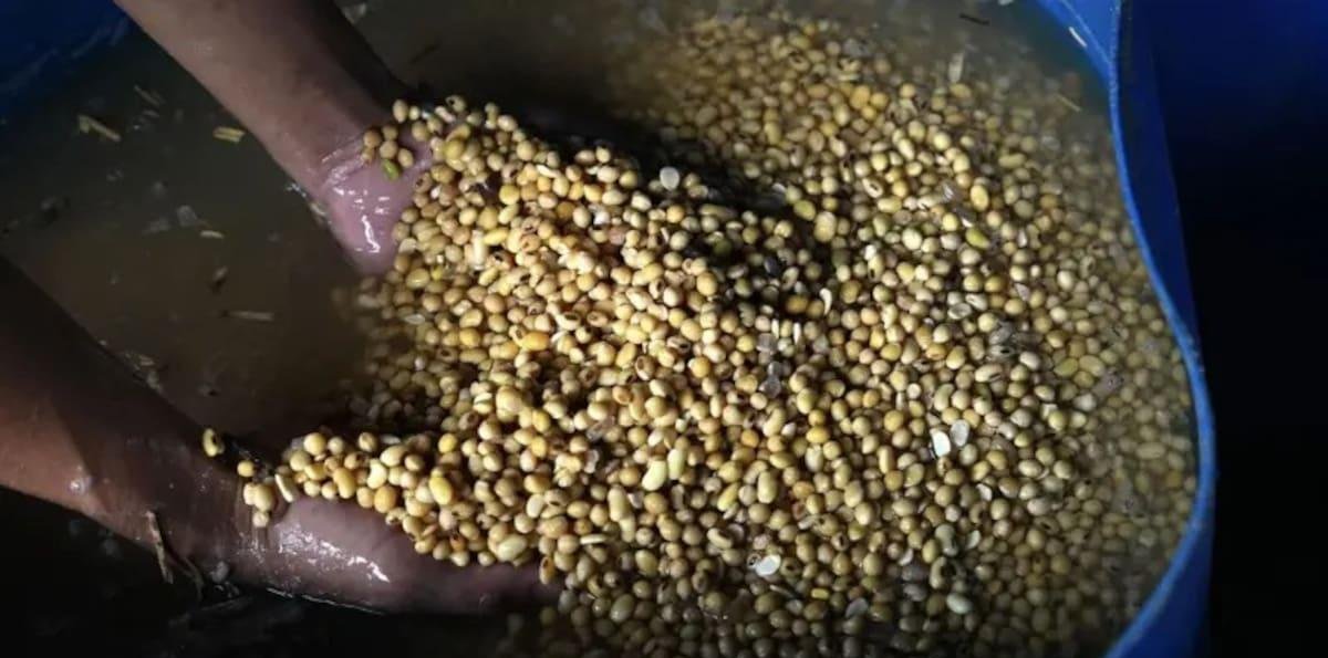 Camiones cargados de soja esperan en puerto fluvial de Brasil, ralentizando envíos de cosecha récord