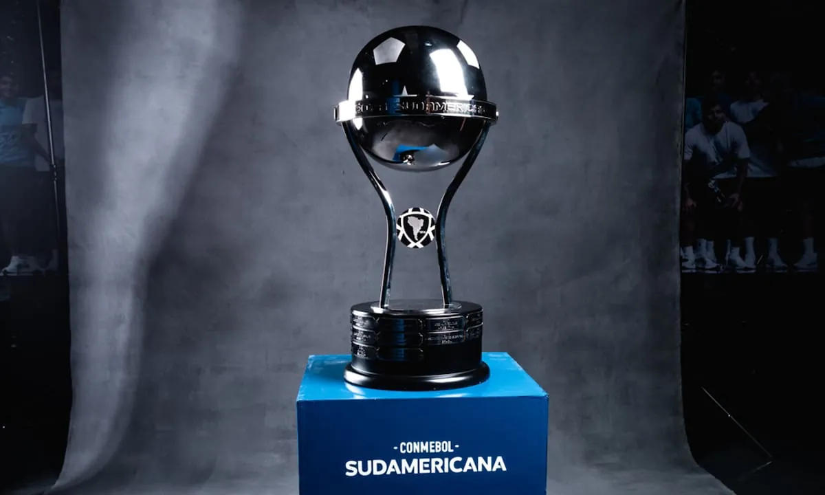 Los clubes que jueguen los Playoffs de Copa Sudamericana podrán exhibir una bandera en reconocimiento a la selección