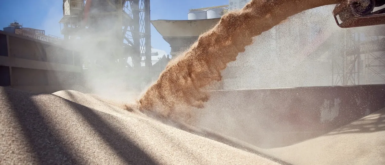 La liquidación de divisas por parte del agro creció 12% mensual en junio, aunque el acumulado del primer semestre cerró 13% abajo