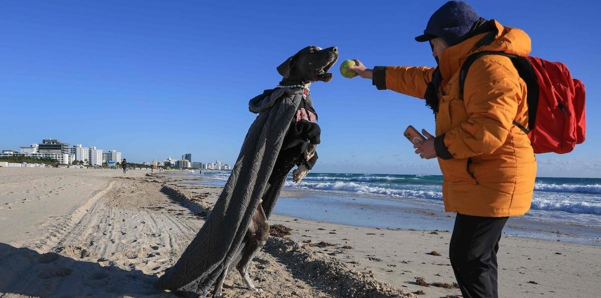 Clima en Miami, Florida hoy: cuál es el pronóstico del tiempo para hoy 3 de marzo