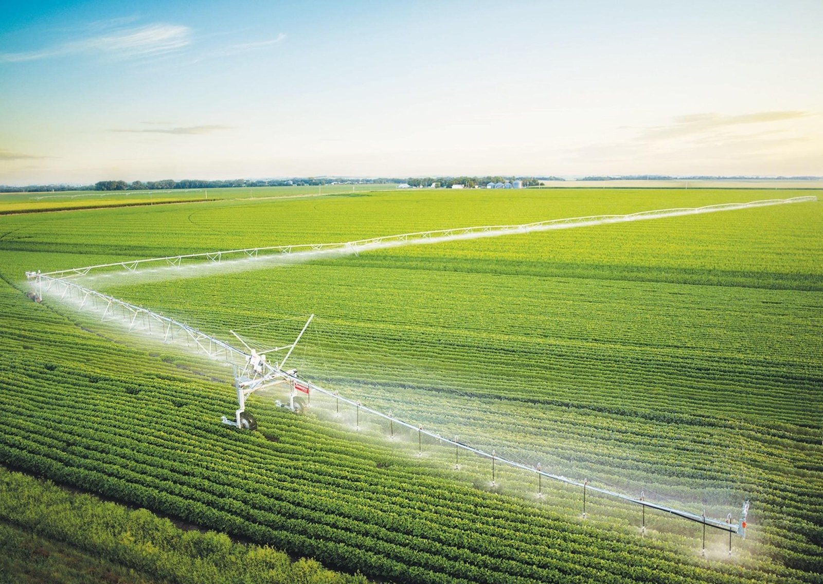 Riego: el potencial oculto que puede sumar producción, empleo y dólares al país