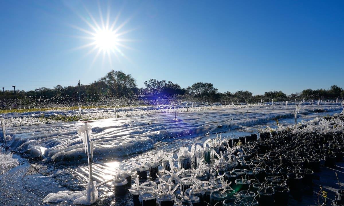 Clima en Tampa, Florida hoy: cuál es el pronóstico del tiempo para hoy 28 de febrero