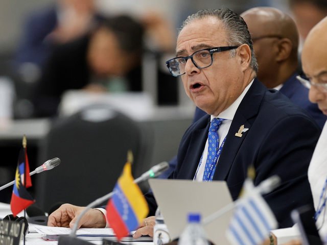 Fuerte pedido del Gobierno a la OEA por la situación del gendarme argentino secuestrado por el régimen de Maduro