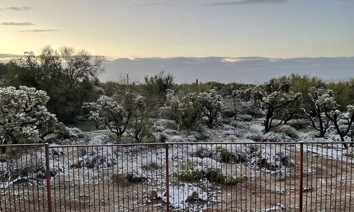 Clima en Tucson, Arizona hoy: cuál es el pronóstico del tiempo para hoy 16 de abril