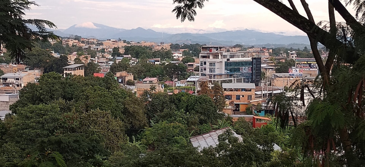 Clima en Tarapoto: probabilidad de lluvia y temperaturas de mañana