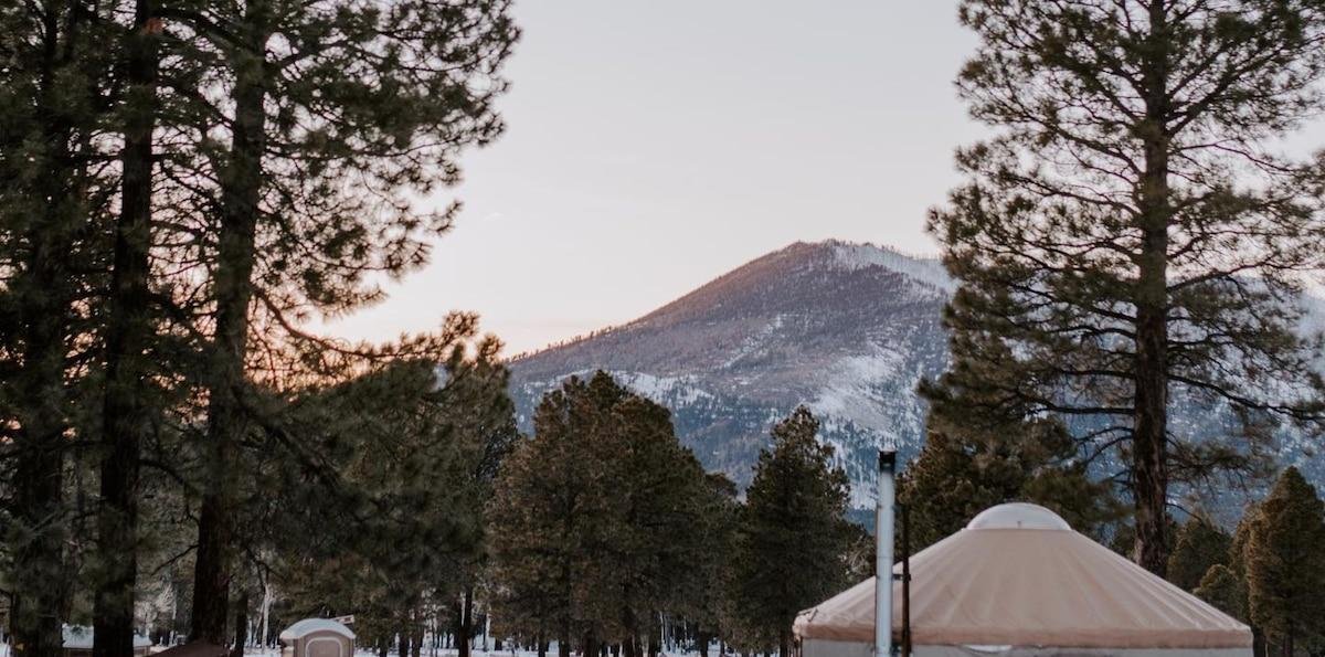 Clima en Tucson, Arizona hoy: cuál es el pronóstico del tiempo para hoy 3 de marzo