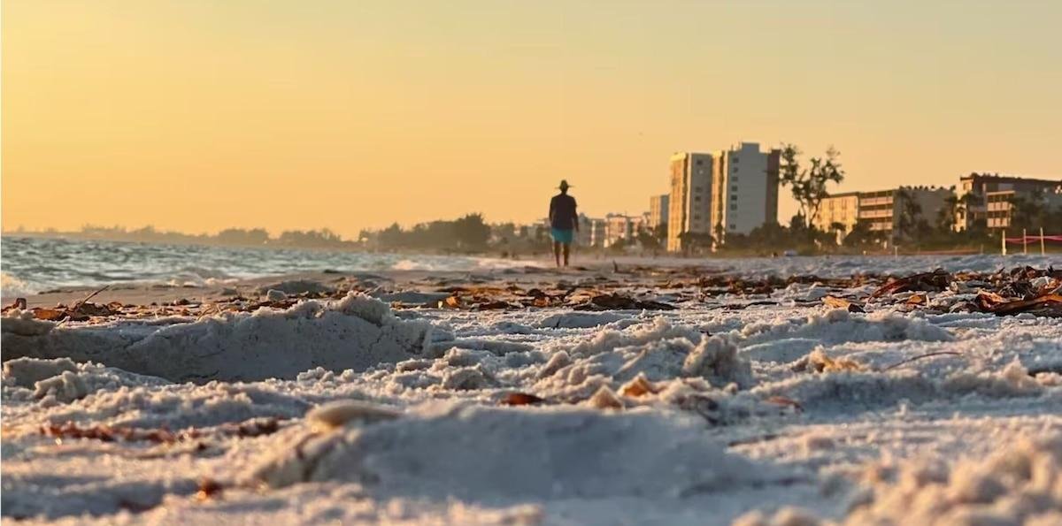 Clima en Jacksonville, Florida hoy: cuál es el pronóstico del tiempo para hoy 3 de marzo