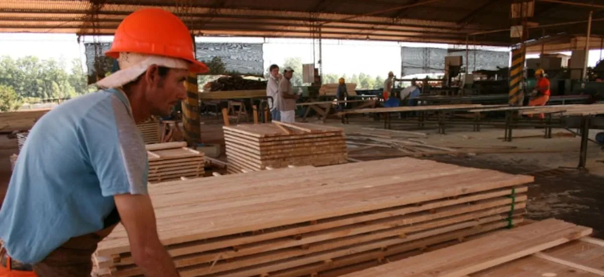 Empresa invertirá US$250 millones en una planta de procesamiento de pino en Rivera