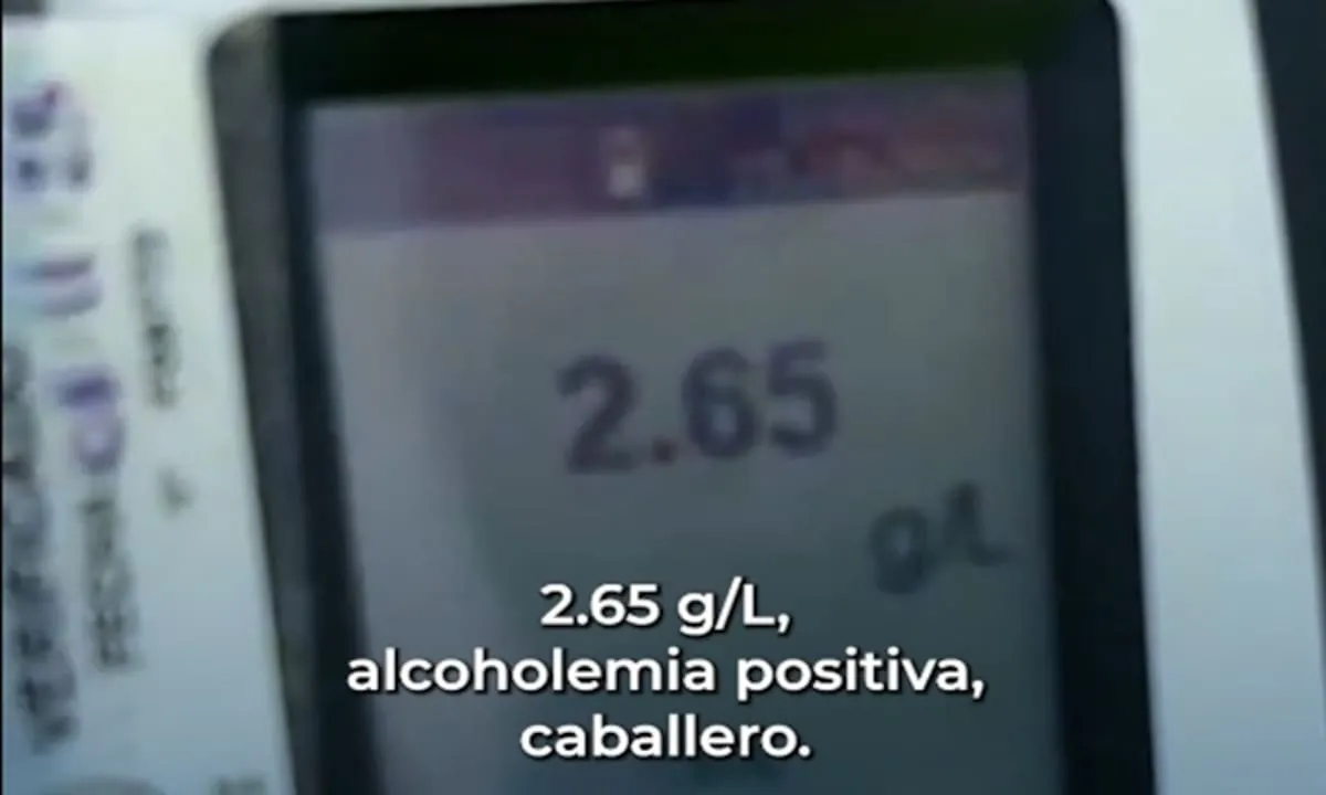 “No va a dar cero”: la insólita admisión de un camionero al que le hicieron un test de alcoholemia en la Panamericana