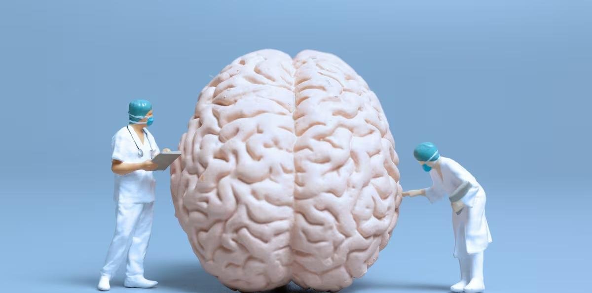 Una neurocientífica canadiense explica qué ocurre en el cerebro cuando el estrés se vuelve crónico