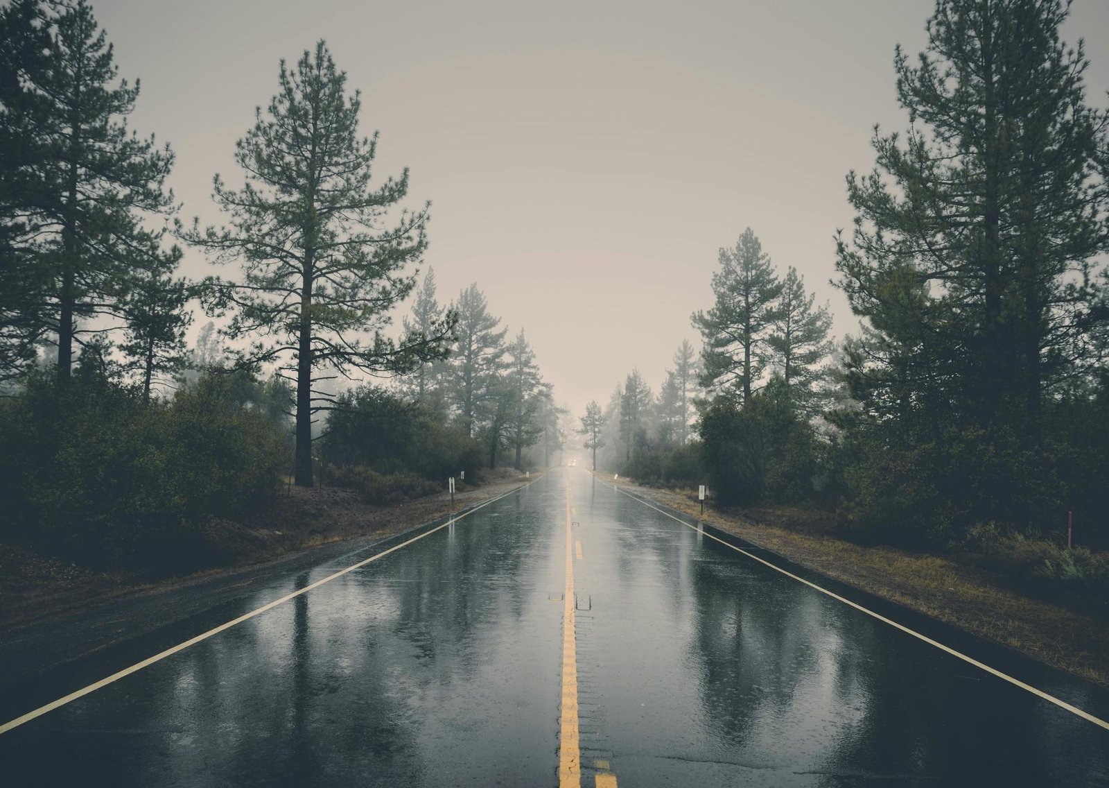 Clima hoy en Santo Domingo, Ecuador: el pronóstico del tiempo para este miércoles 11 marzo de 2026