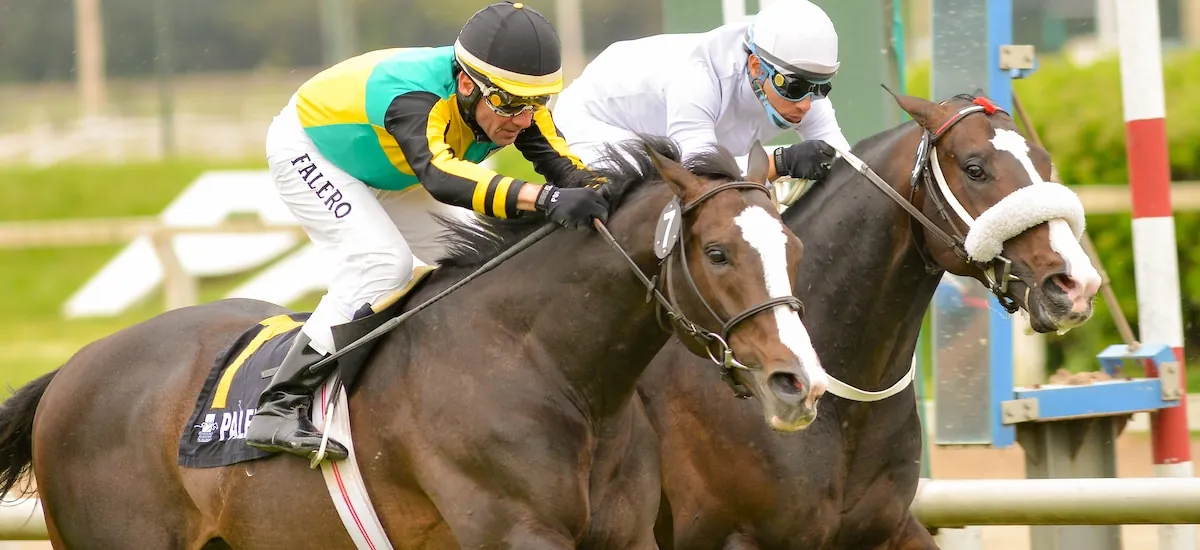 Tips Jurídicos: apuestas “sale o sale”, ¿son legales?