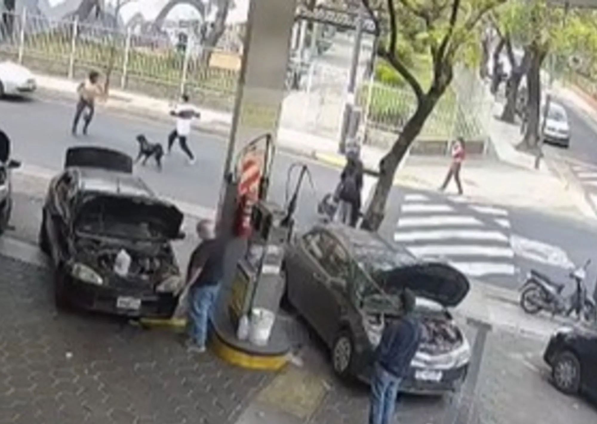 Brutal crimen en San Cristóbal: ató una faca a una muleta y la usó como una lanza en una pelea callejera